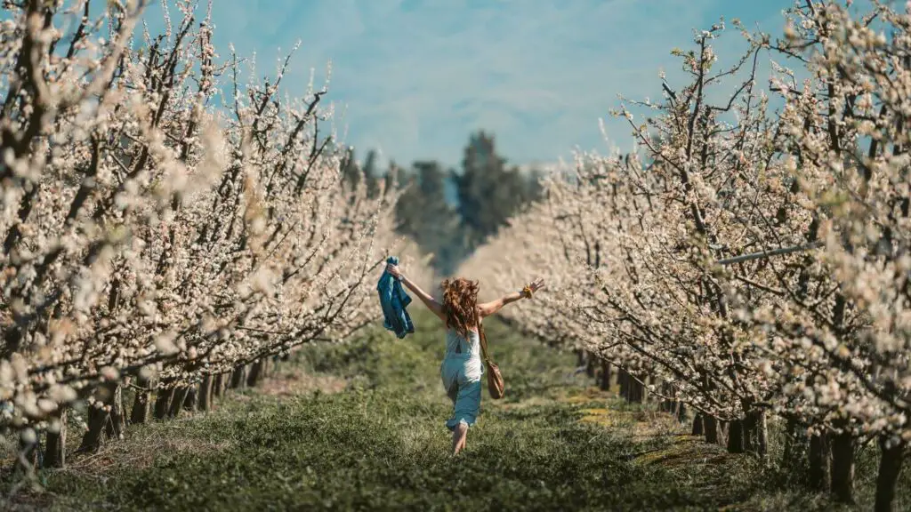 Comment coudre une veste pour le printemps ?